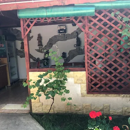 Casa Flori * Două Mai